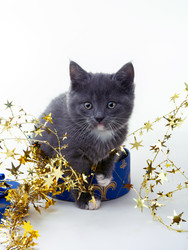 Similar image 22399946