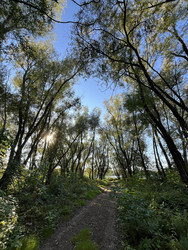 Similar image 22403402