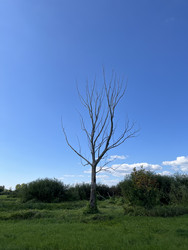 Similar image 22403403