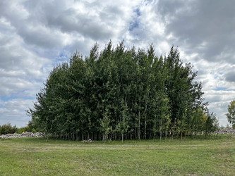 Similar image 22403406