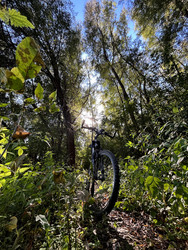 Similar image 22403407