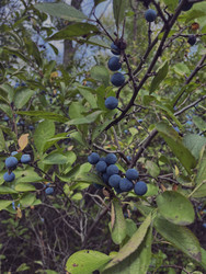 Similar image 22403411