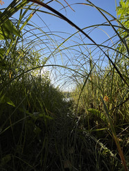 Similar image 22403412