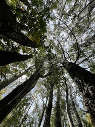 Similar image 22403414