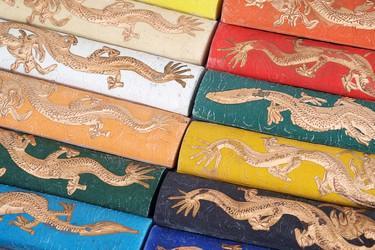 Similar image 22400179