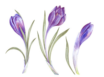 Similar image 22419023