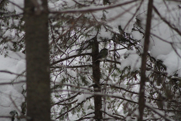 Similar image 22403226