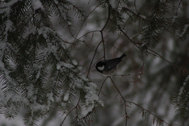 Similar image 22403227