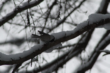 Similar image 22403228