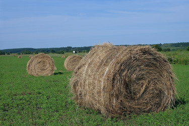 Similar image 22403302