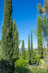 Similar image 22403937