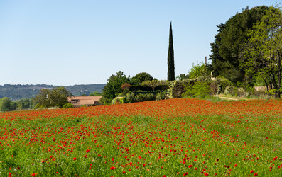 Similar image 22403982