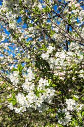 Similar image 22403983