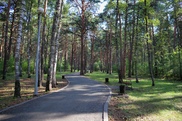 Similar image 22403427