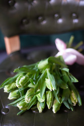 Similar image 22403314