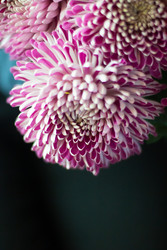 Similar image 22403315