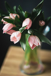 Similar image 22403317