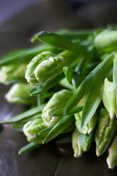 Similar image 22403320