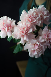 Similar image 22403321