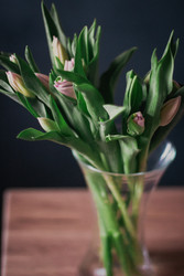 Similar image 22403323