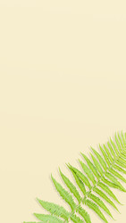 Similar image 22443893