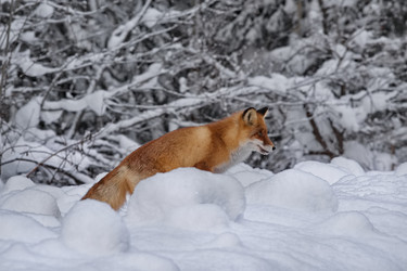 Similar image 22410567