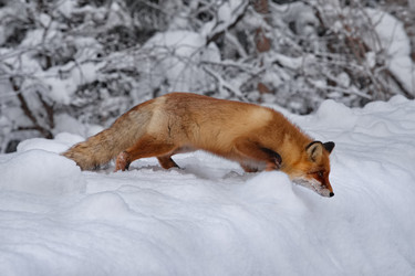 Similar image 22410569