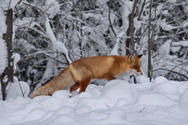 Similar image 22410570