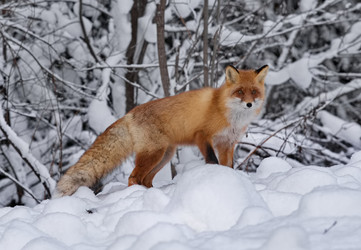 Similar image 22410571