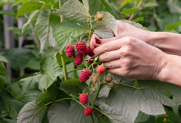 Similar image 22403328