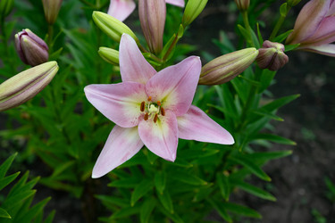 Similar image 22403330