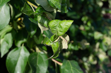 Similar image 22403331