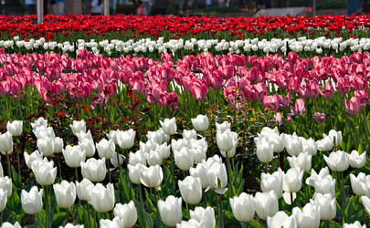 Similar image 22425081