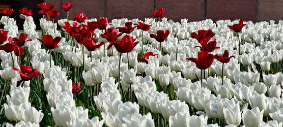 Similar image 22425082