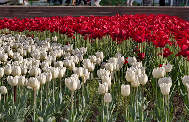 Similar image 22425083