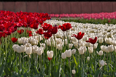 Similar image 22425087