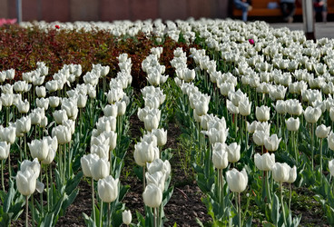 Similar image 22425089