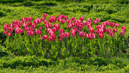 Similar image 22425090