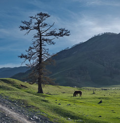 Similar image 22425096