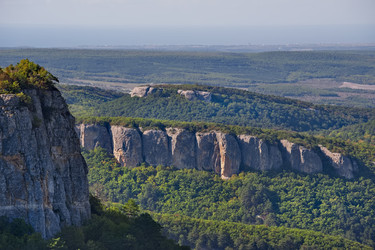 Similar image 22425099