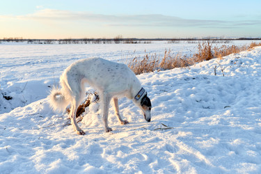 Similar image 22403232