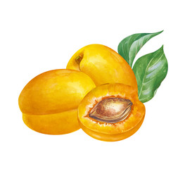 Similar image 22419024