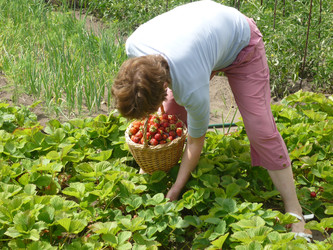 Similar image 22410540