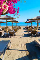 Similar image 22424017