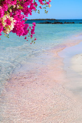 Similar image 22424022