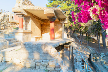 Similar image 22424034