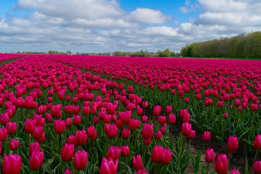 Similar image 22424064