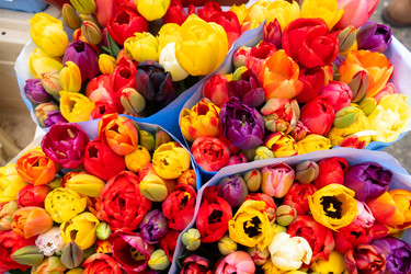 Similar image 22424066