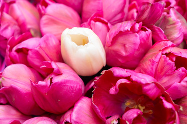 Similar image 22424070