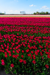 Similar image 22424072